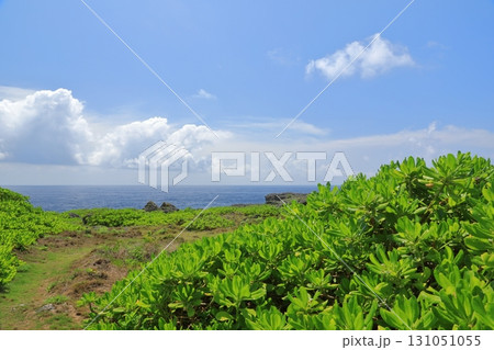 太平洋の水平線を望む波照間島高那崎の風景 131051055