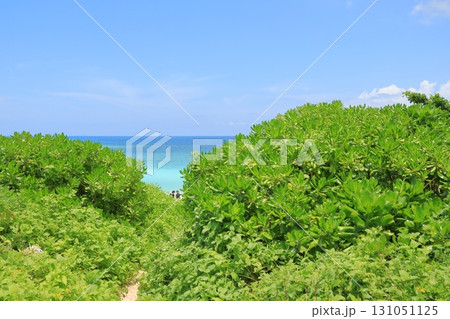 波照間島ニシ浜の美しいビーチに見える人影 131051125