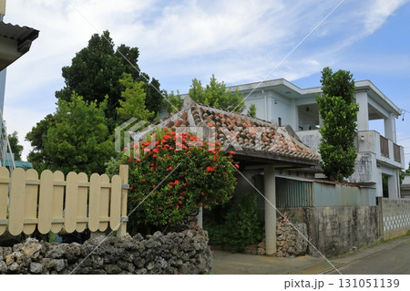 ハイビスカスが咲く波照間島の集落の風景 131051139