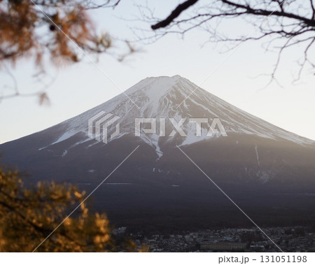 秋富士 秋富士 131051198