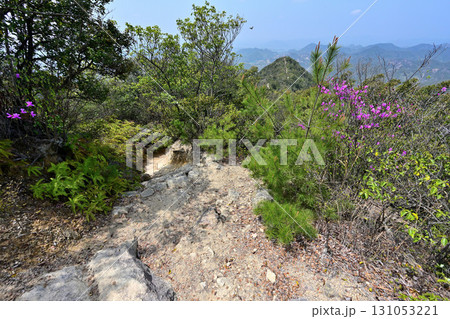 播磨「三草山城」曲輪と眺望 源平合戦ゆかりの地 播磨「三草山城」曲輪と眺望 源平合戦ゆかりの地 131053221