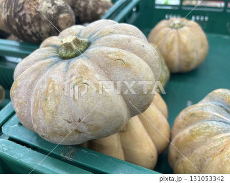 Close up of pale lobed pumpkins with green stems in a market crate 131053342