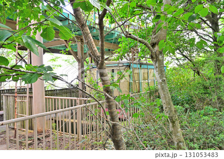 撤去解体が決まった　表六甲山線　ロープウェイ駅「天狗岩駅」乗り換え地点 131053483