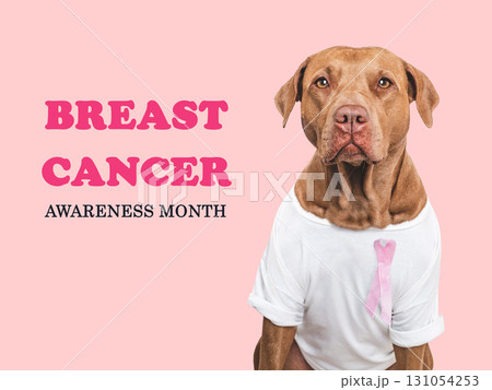 Cute dog and Pink Awareness Ribbon. Express moral support Cute dog and Pink Awareness Ribbon. Express moral support 131054253