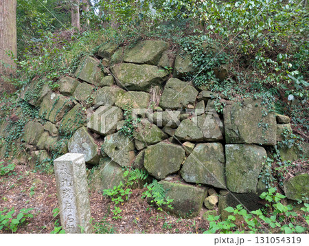 群馬県太田市にある金山城の本丸残存石垣 群馬県太田市にある金山城の本丸残存石垣 131054319