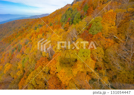 紅葉のソラテラス 131054447