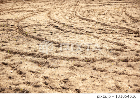 乾いた大地 131054616