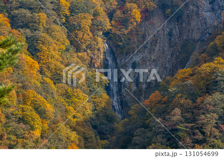 澗満瀧の紅葉 131054699