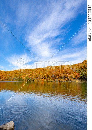 紅葉に染まる志賀高原 琵琶池 131055556