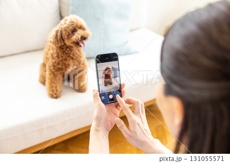 スマホでペットを撮影する女性 131055571