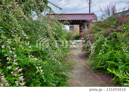 萩の季節の瑞源寺 131055610