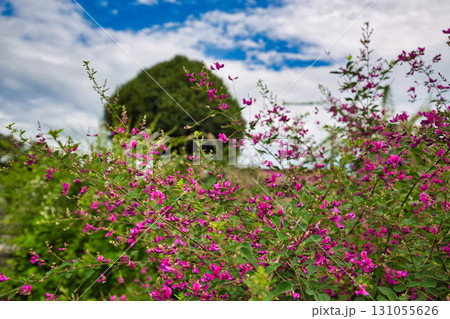 萩の季節の瑞源寺 131055626