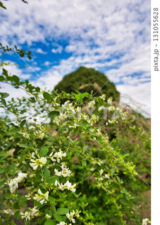 萩の季節の瑞源寺 131055628