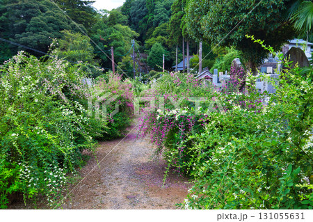 萩の季節の瑞源寺 131055631