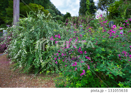萩の季節の瑞源寺 131055638
