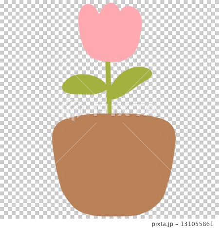 Pink tulips in a pot Pink tulips in a pot 131055861