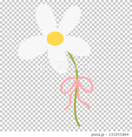 White daisy tied with a pink bow White daisy tied with a pink bow 131055864