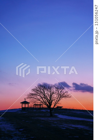 夕暮れの十勝牧場展望台 夕暮れの十勝牧場展望台 131056247