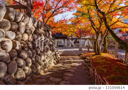 【静岡県】紅葉最盛期の修善寺温泉・修禅寺 131056614