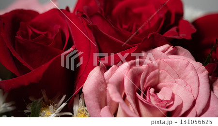 花瓶に生けた薔薇の花 花瓶に生けた薔薇の花 131056625