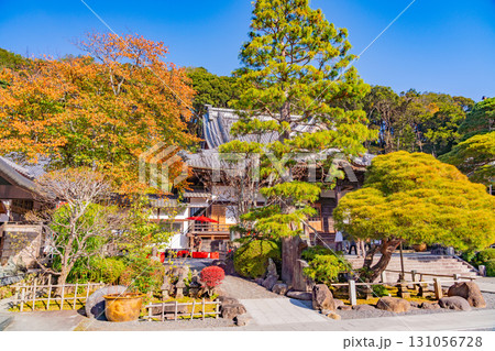 【静岡県】紅葉最盛期の修善寺温泉・修禅寺 【静岡県】紅葉最盛期の修善寺温泉・修禅寺 131056728