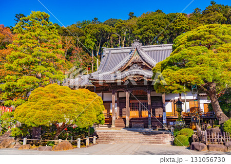 【静岡県】紅葉最盛期の修善寺温泉・修禅寺 131056730