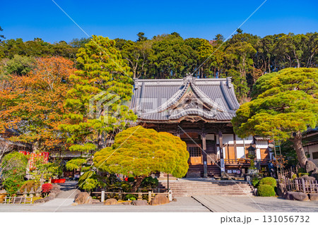 【静岡県】紅葉最盛期の修善寺温泉・修禅寺 【静岡県】紅葉最盛期の修善寺温泉・修禅寺 131056732