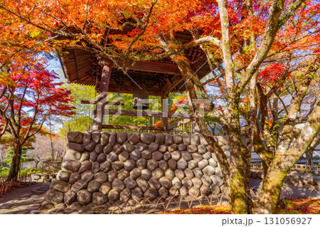 【静岡県】紅葉最盛期の修善寺温泉・修禅寺　鐘楼 131056927