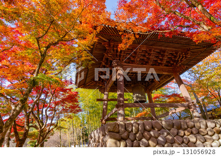 【静岡県】紅葉最盛期の修善寺温泉・修禅寺 鐘楼 【静岡県】紅葉最盛期の修善寺温泉・修禅寺 鐘楼 131056928