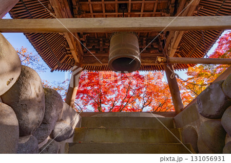 【静岡県】紅葉最盛期の修善寺温泉・修禅寺　鐘楼 131056931