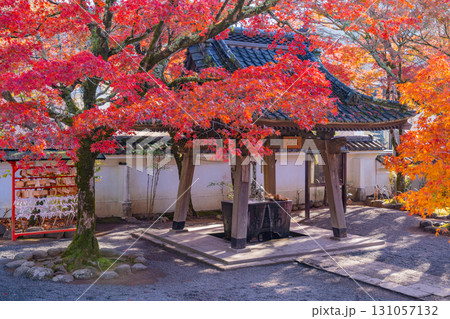 【静岡県】紅葉期の修善寺温泉・修禅寺の桂谷温泉大師の湯 (手水舎) 131057132