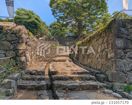 群馬県太田市にある金山城の大手虎口 131057170