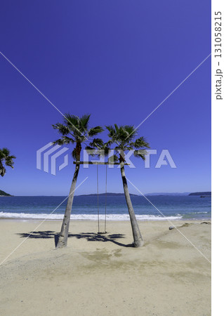 ビーチにあるヤシの木のブランコ ビーチにあるヤシの木のブランコ 131058215
