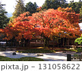 糸島市雷山千如寺の紅葉 131058622