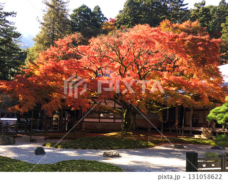 糸島市雷山千如寺の紅葉 131058622
