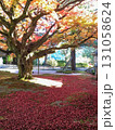 雷山千如寺の紅葉と寺院の建物 131058624
