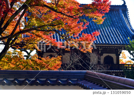 紅葉に包まれる善峯寺の山門 131059050