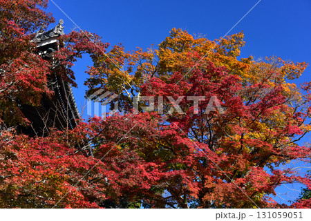 紅葉に包まれる善峯寺の山門 131059051