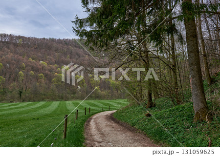 Winding Rural Path Between Pine Forest And Green Fields Leading To Rolling Hills Under Cloudy Sky In Countryside Landscape. 131059625