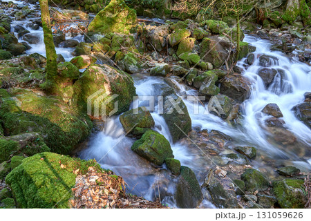 Majestic Allerheiligen Waterfalls: Serene Long Exposure Cascade in Black Forest National Park Germany. Scenic Forest Stream Flows Through Lush Greenery and Moss Covered Rocks Creating Ethereal 131059626