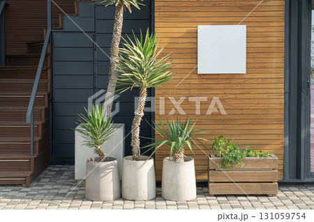 Modern Entryway With Decorative Plants Near a Wooden Wall 131059754