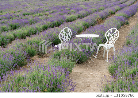 Lavender Field With White Table and Chairs for Relaxing in Nature Lavender Field With White Table and Chairs for Relaxing in Nature 131059760