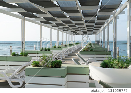 Relaxing Lounge Area Along the Seaside With Green Plants and Sunbeds Relaxing Lounge Area Along the Seaside With Green Plants and Sunbeds 131059775