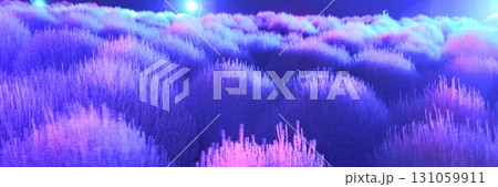 紫色にライトアップされたコキア畑 131059911