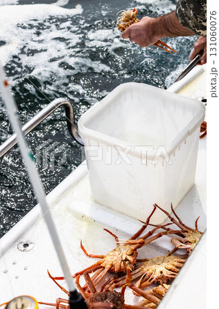 fisherman cuts up freshly caught crab on boat 131060076