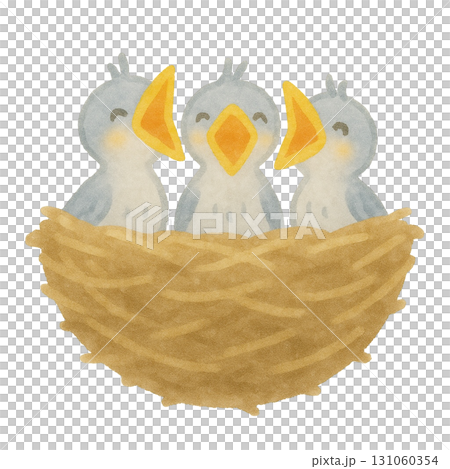 【春】ツバメのひなのイラスト 131060354