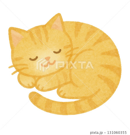丸まって眠る子猫のイラスト 131060355