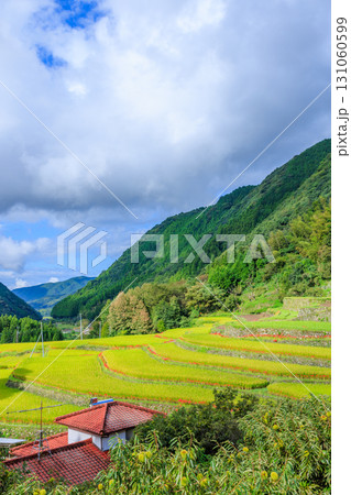 番所の棚田と彼岸花　熊本県山鹿市 131060599