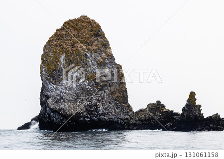 rock with bird colony in Avacha bay, Pacific ocean rock with bird colony in Avacha bay, Pacific ocean 131061158