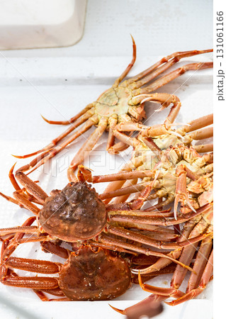 several freshly caught Kamchatka crabs on board 131061166